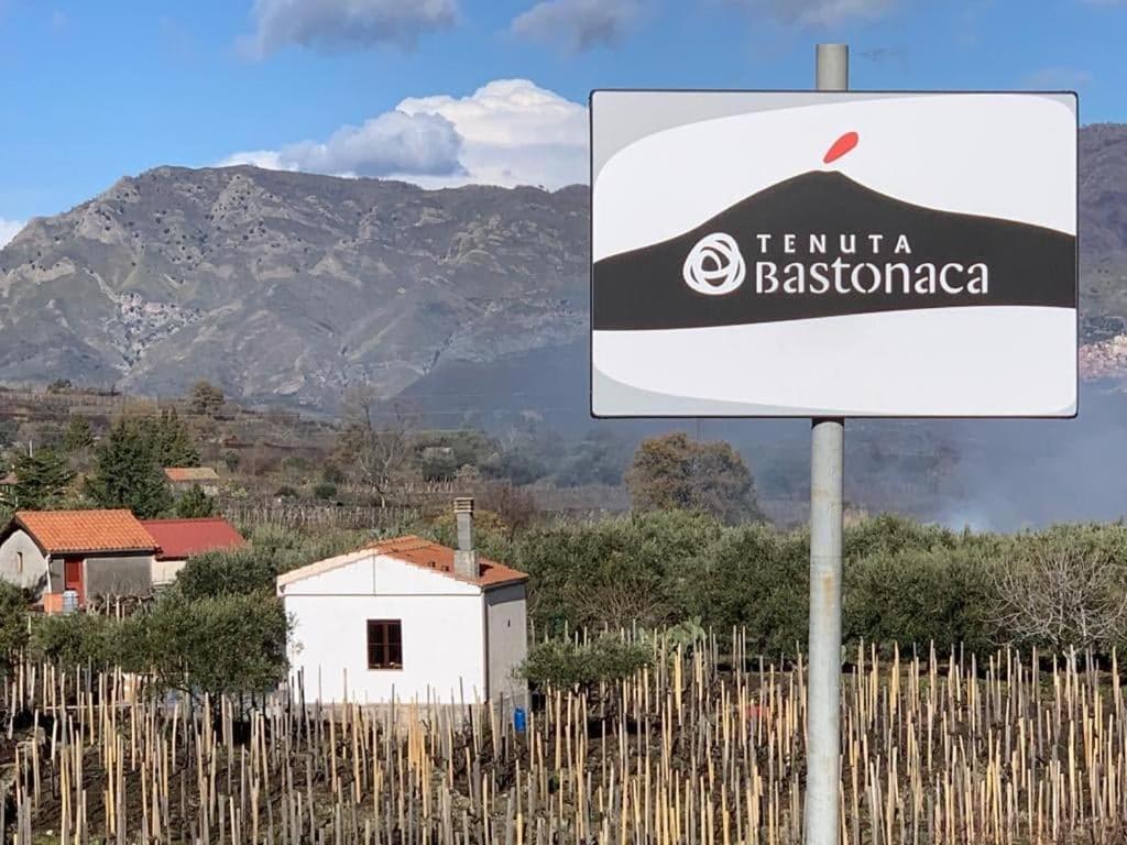Solicchiata La Casa Nel Vigneto Di Tenuta Bastonaca 빌라 외부 사진